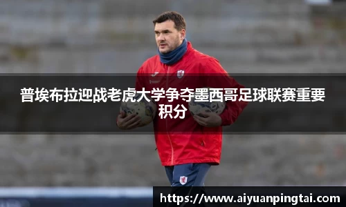 普埃布拉迎战老虎大学争夺墨西哥足球联赛重要积分